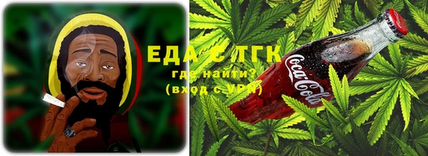 ПСИЛОЦИБИНОВЫЕ ГРИБЫ Великий Новгород